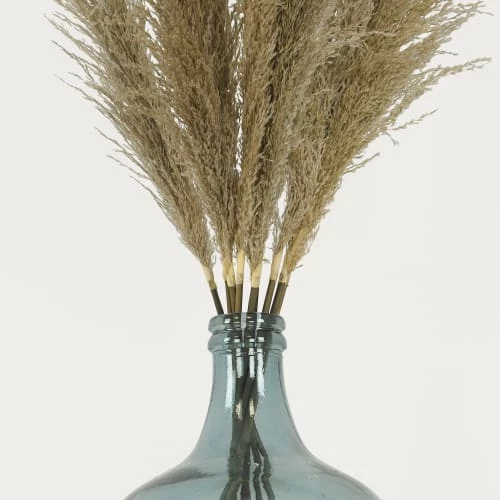 Tout neuf ✨ Ligne Déco 3 Tiges Fleurs Séchées Naturelles Plumeau Herbe Pampa, H110cm 👏 – Image 2