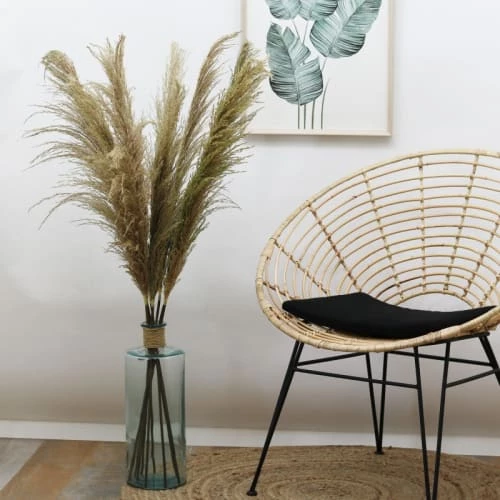 Tout neuf ✨ Ligne Déco 3 Tiges Fleurs Séchées Naturelles Plumeau Herbe Pampa, H110cm 👏 – Image 3