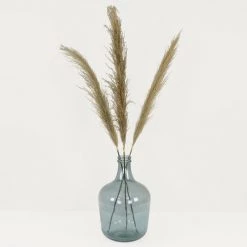 Tout neuf ✨ Ligne Déco 3 Tiges Fleurs Séchées Naturelles Plumeau Herbe Pampa, H110cm 👏