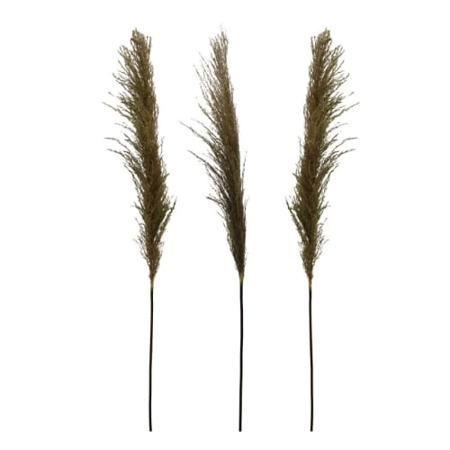 Tout neuf ✨ Ligne Déco 3 Tiges Fleurs Séchées Naturelles Plumeau Herbe Pampa, H110cm 👏 – Image 4