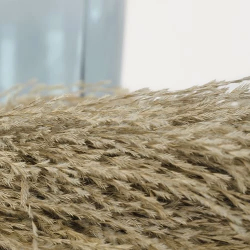 Tout neuf ✨ Ligne Déco 3 Tiges Fleurs Séchées Naturelles Plumeau Herbe Pampa, H110cm 👏 – Image 5