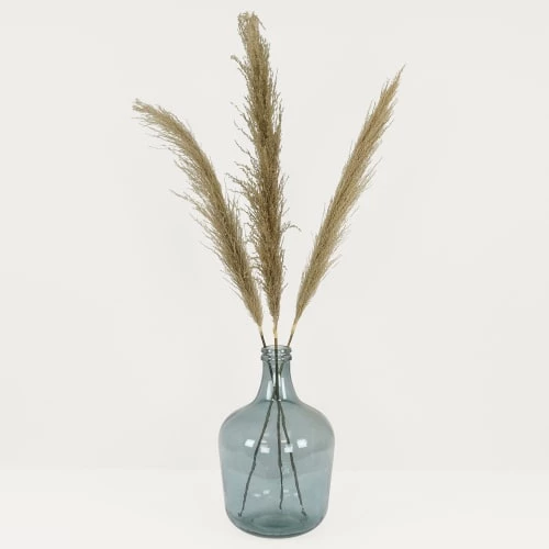 Tout neuf ✨ Ligne Déco 3 Tiges Fleurs Séchées Naturelles Plumeau Herbe Pampa, H110cm 👏