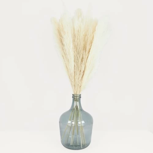 Vente flash ⭐ Ligne Déco Décoration De Jardin 6 Tiges Fleurs Séchées Naturelles Plumeau Herbe Pampa H.105cm 🥰 – Image 5