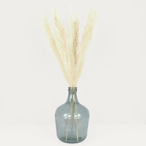 Le moins cher ⌛ Ligne Déco Décoration De Jardin 6 Tiges Fleurs Séchées Naturelles Plumeau Herbe Pampa, H.105cm 👍 – Image 2