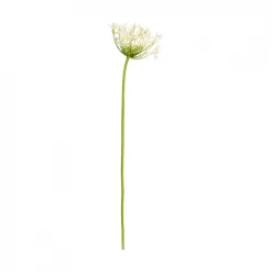 Acheter ⭐ Sia Deco Décoration De Jardin Agapanthe De Mer Paros 🌟