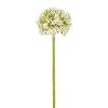 Promo 🔥 Sia Deco Décoration De Jardin Allium Artificiel Everest 😀