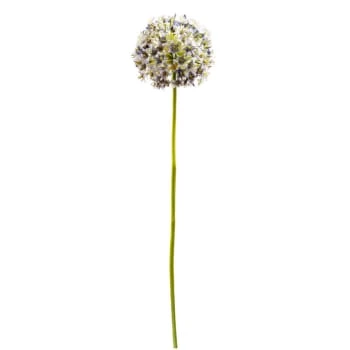 Coupon 😍 Sia Deco Décoration De Jardin Allium Artificiel Ninon 🎉 – Image 3
