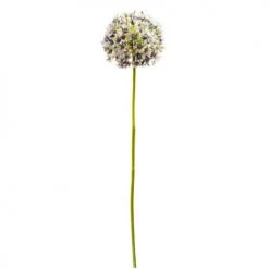 Coupon 😍 Sia Deco Décoration De Jardin Allium Artificiel Ninon 🎉