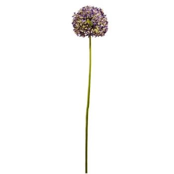 Coupon 😍 Sia Deco Décoration De Jardin Allium Artificiel Ninon 🎉 – Image 4