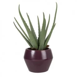 Promo 🔔 Maisons Du Monde Fleurs Artificielles Et Bouquets Aloe Vera Artificiel Et Pot En Grès Noir 👏