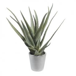 Meilleur prix 🔔 Maisons Du Monde Fleurs Artificielles Et Bouquets Aloe Vera Artificielle En Pot H 36 Cm ✨