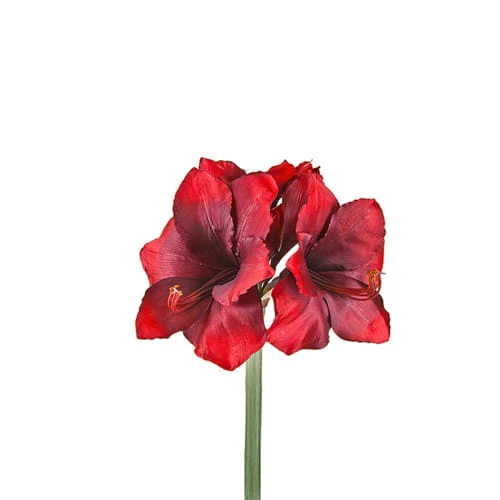 De gros 💯 Sia Deco Décoration De Jardin Amaryllis H47 👍