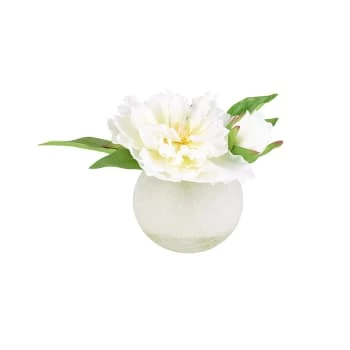 Offres ✔️ Sia Deco Décoration De Jardin Arrangement De Pivoines Sophia 😍 – Image 3