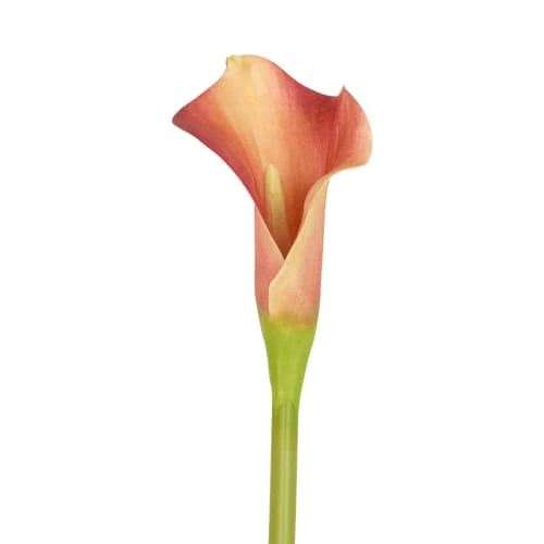 Top 10 🥰 Sia Deco Décoration De Jardin Arum Calla H52cm 🌟 – Image 2