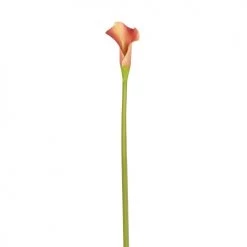 Top 10 🥰 Sia Deco Décoration De Jardin Arum Calla H52cm 🌟