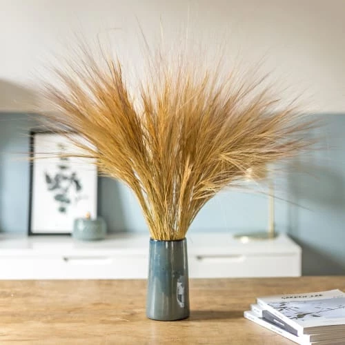 Budget đ RĂ©conciliation VĂ©gĂ©tale DĂ©coration De Jardin Barba Sec Naturel 150g đ â Image 2