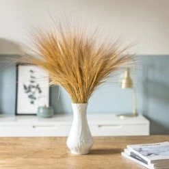 Budget 🔔 Réconciliation Végétale Décoration De Jardin Barba Sec Naturel 150g 😍