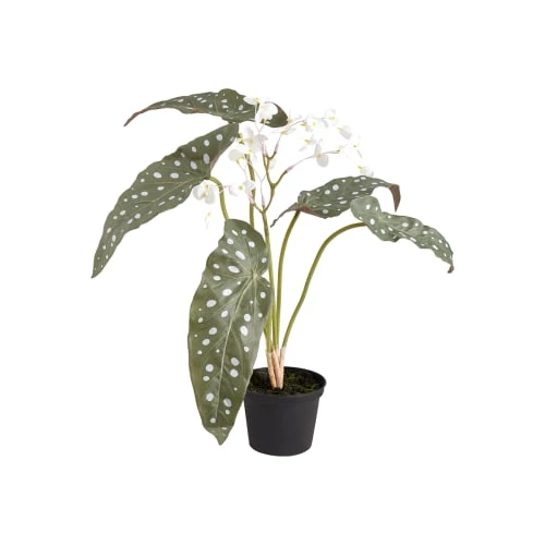 Acheter ✨ Sia Deco Décoration De Jardin Begonia Fleuri En Pot En Plastique ✔️