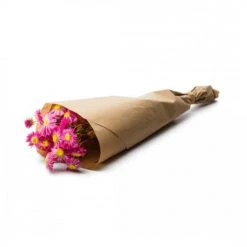 Offres 😀 Naturalys Décoration De Jardin Botte Acroclinium Natural Pink 👏