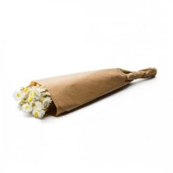 Meilleur prix 🎁 Naturalys Décoration De Jardin Botte Acroclinium Natural White 🛒