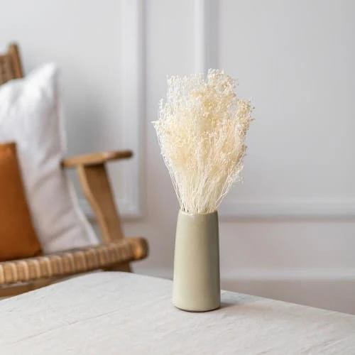 Offres ⭐ Flowrette Décoration De Jardin Botte Broom Bloom Blanc 🔔 – Image 2