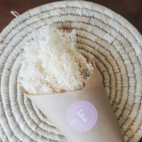 Offres ⭐ Flowrette Décoration De Jardin Botte Broom Bloom Blanc 🔔