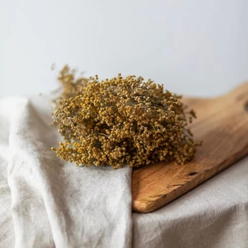 Budget đ Flowrette Fleurs SĂ©chĂ©es Botte Broom Bloom Naturel đ â Image 2