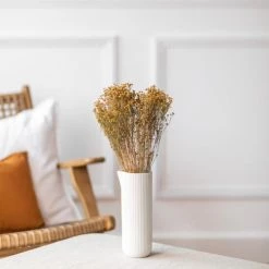 Budget 🔔 Flowrette Fleurs Séchées Botte Broom Bloom Naturel 👍