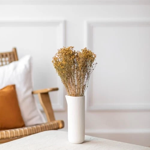 Budget đ Flowrette Fleurs SĂ©chĂ©es Botte Broom Bloom Naturel đ