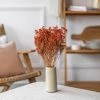 Coupon 🌟 Flowrette Décoration De Jardin Botte Broom Bloom Orange 😍