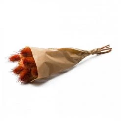 Acheter 🌟 Naturalys Décoration De Jardin Botte Chardon Burnt Orange 🎉