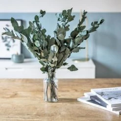 Budget 💯 Réconciliation Végétale Décoration De Jardin Botte De Fleurs Séchées Eucalyptus Cinerea Stabilisé ❤️