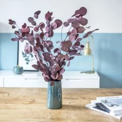 Promo 🎁 Réconciliation Végétale Décoration De Jardin Botte De Fleurs Séchées Eucalyptus Populus Rouge 💯