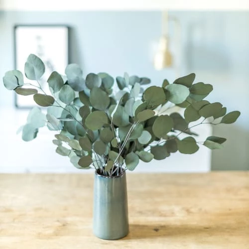 Les meilleures critiques de 🌟 Réconciliation Végétale Décoration De Jardin Botte De Fleurs Séchées Eucalyptus Populus Vert Stabilisé 😀