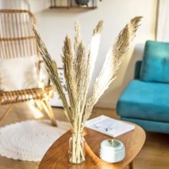 Coupon ✨ Réconciliation Végétale Botte De Fleurs Séchées Miscanthus Sec Naturel 6 Tiges 🧨