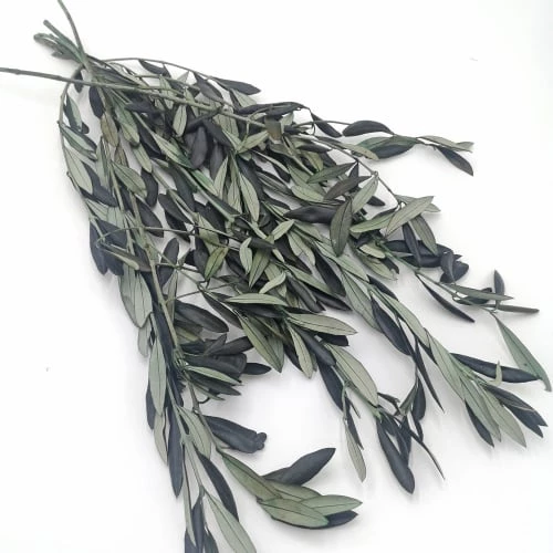 Nouveau đ RĂ©conciliation VĂ©gĂ©tale DĂ©coration De Jardin Botte De Fleurs SĂ©chĂ©es Olivier De Provence StabilisĂ© đ â Image 3