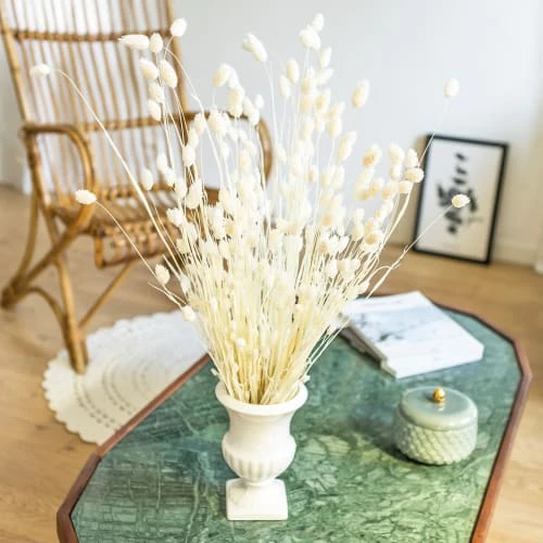 Meilleur prix đ RĂ©conciliation VĂ©gĂ©tale Botte De Fleurs SĂ©chĂ©es Phalaris Blanc 150g đ â Image 2