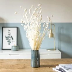 Meilleur prix 🌟 Réconciliation Végétale Botte De Fleurs Séchées Phalaris Blanc 150g 😉