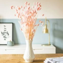 Meilleure vente 🥰 Réconciliation Végétale Botte De Fleurs Séchées Phalaris Rose 🎁