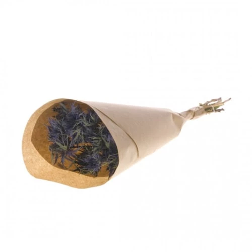 Budget 🥰 Naturalys Décoration De Jardin Botte Eryngium Blue Star ⌛