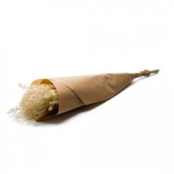 Bon marché 🧨 Naturalys Décoration De Jardin Botte Fluffy Reed Grass Natural ❤️