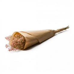 Le moins cher 🌟 Naturalys Décoration De Jardin Botte Gypsophila Dried Pink 🌟