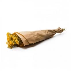 Meilleur prix 🔔 Naturalys Décoration De Jardin Botte Lona Natural Yellow 🎉