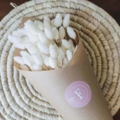 Budget 🔔 Flowrette Décoration De Jardin Botte Phalaris Blanc 🥰