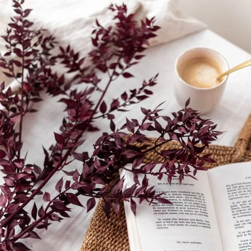 Meilleur prix 🎁 Flowrette Décoration De Jardin Botte Ruscus Bordeaux 🧨 – Image 2