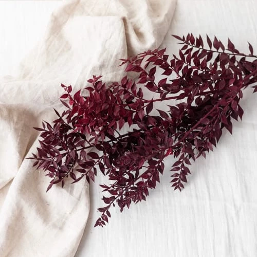 Meilleur prix 🎁 Flowrette Décoration De Jardin Botte Ruscus Bordeaux 🧨