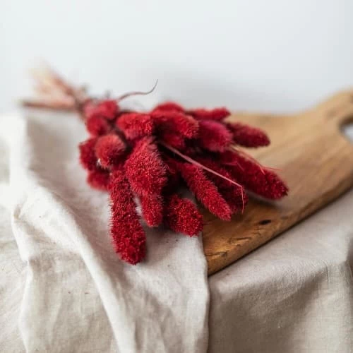 Remise 🎁 Flowrette Décoration De Jardin Botte Sétaire Rouge 🤩 – Image 2