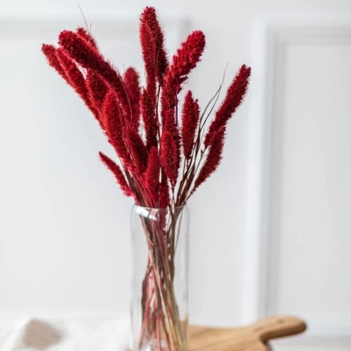 Remise 🎁 Flowrette Décoration De Jardin Botte Sétaire Rouge 🤩