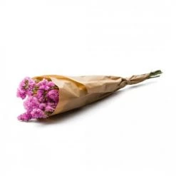 Meilleure vente 🎁 Naturalys Décoration De Jardin Botte Statice Pink ⭐