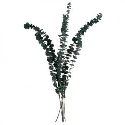 Meilleur prix 😀 Maisons Du Monde Fleurs Séchées Bouquet D'eucalyptus Séché 🧨